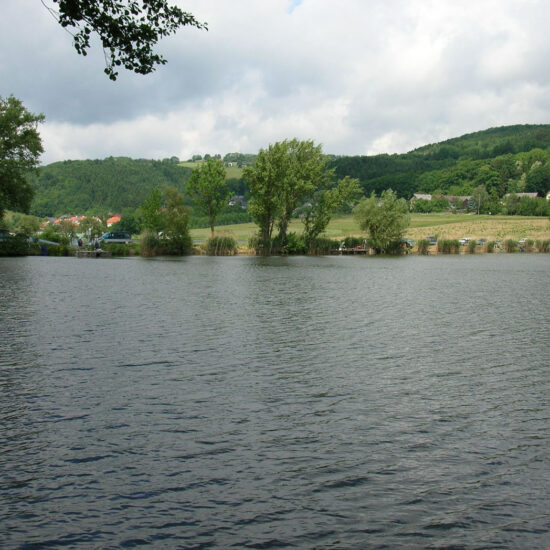Revierbild: Fürholz-Teich