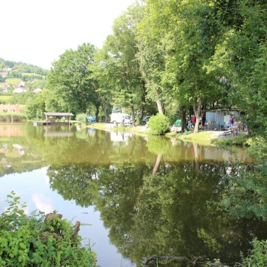 Revierbild: Fürholz-Teich