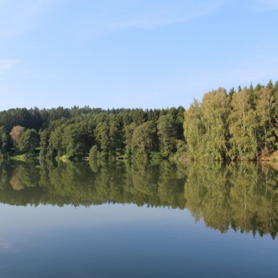 Revierbild: Ghartwaldsee