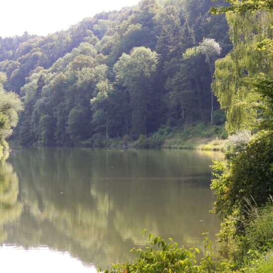 Revierbild: Donau-Freyenstein inkl. Hößgang
