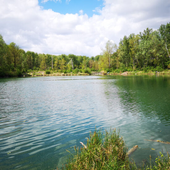 Revierbild: Linke Donau Theiß, inkl. Teiche Theiß