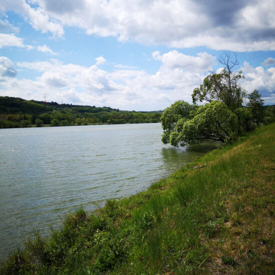 Revierbild: Linke Donau Theiß, inkl. Teiche Theiß