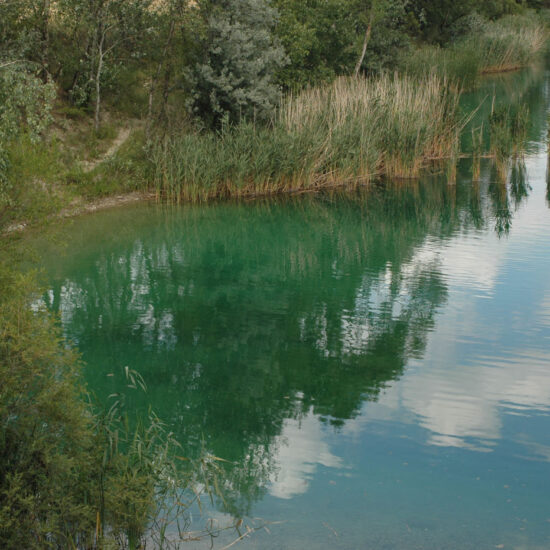 Revierbild: Teich Lobau-Aspern