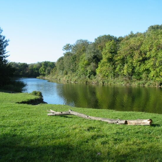 Mühlwasser Lobau