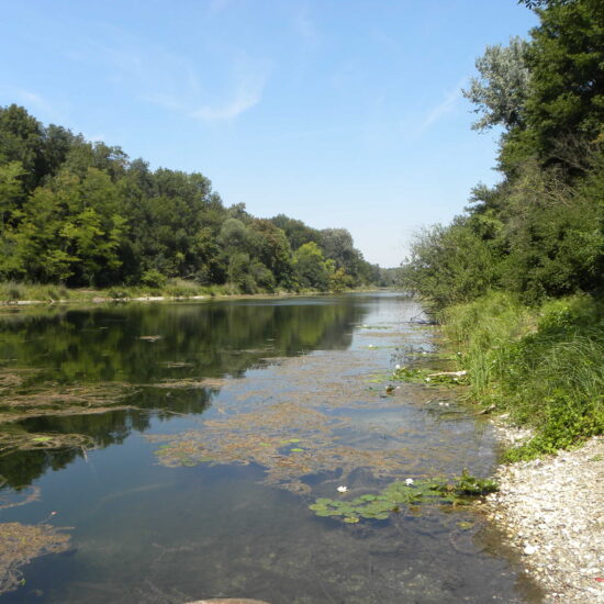 Revierbild: Mühlwasser Lobau