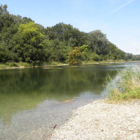 Revierbild: Mühlwasser Lobau