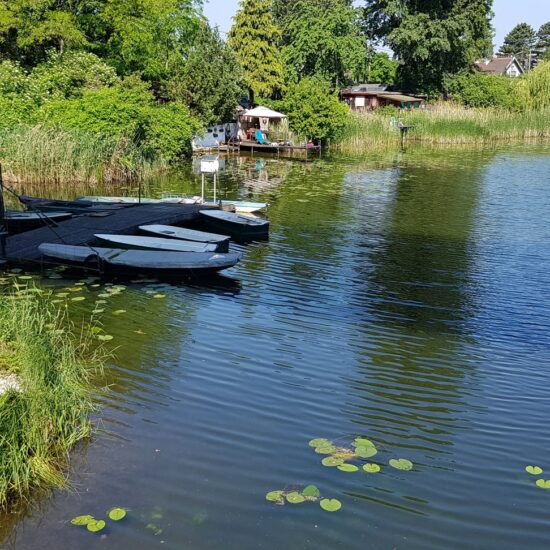 Revierbild: Oberes Mühlwasser Stadlau