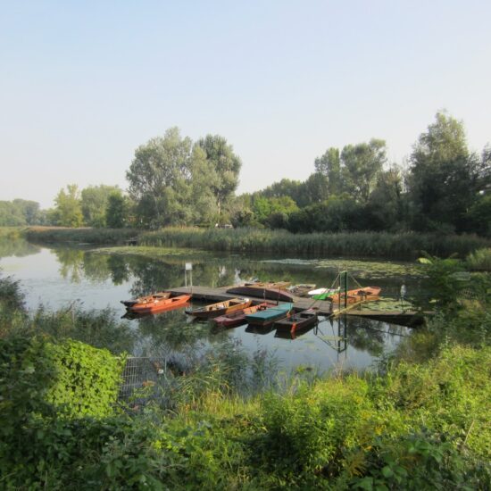 Revierbild: Oberes Mühlwasser Stadlau