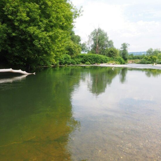 Revierbild: Pielach II/1