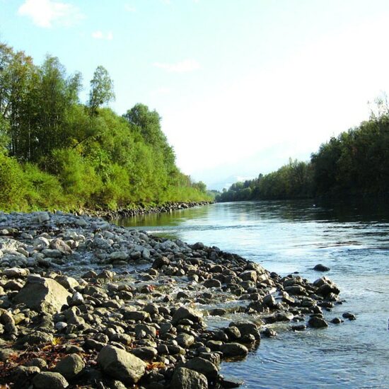 Revierbild: Salzach inkl. Seekanäle (Salmoniden)