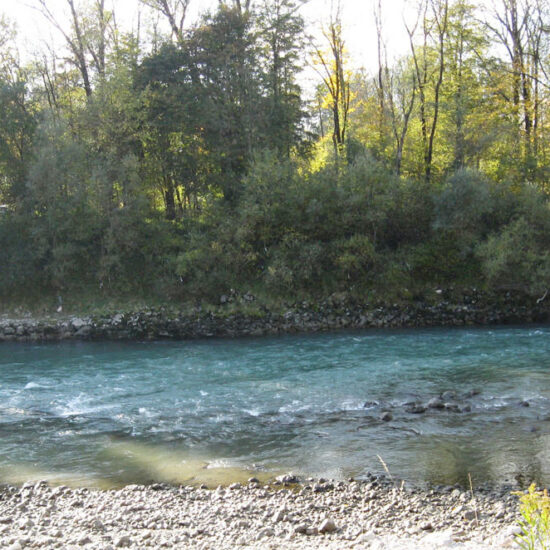 Revierbild: Salzach inkl. Seekanäle (Salmoniden)