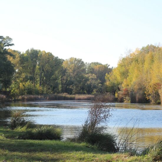 Revierbild: Unteres Mühlwasser Stadlau