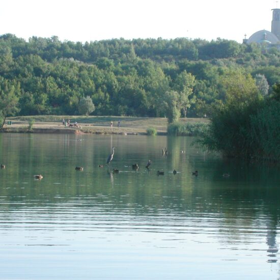 Revierbild: Wienerberger Teich