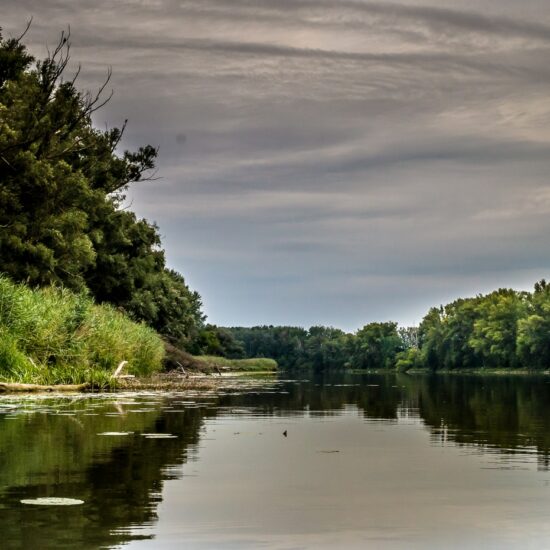 Revierbild: Schönauer Wasser