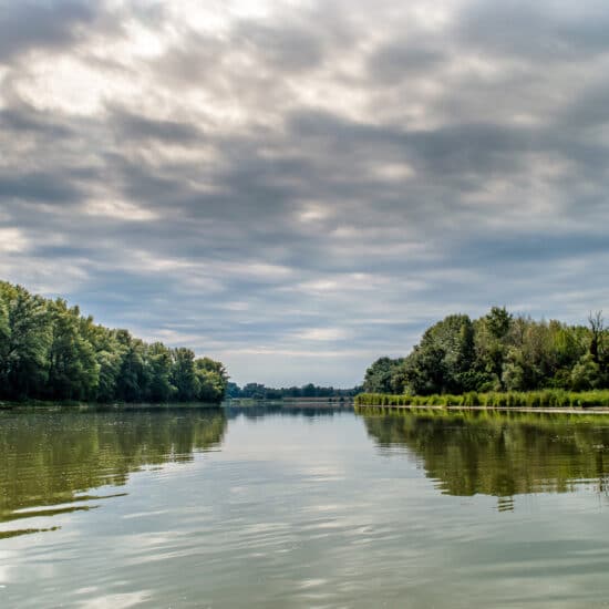 Revierbild: Schönauer Wasser