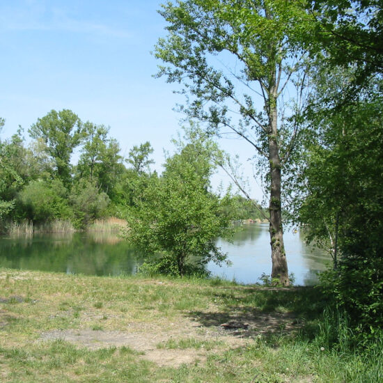Revierbild: Donau-Oder-Kanal III