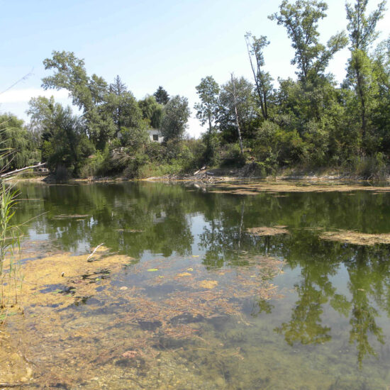 Revierbild: Donau-Oder-Kanal III