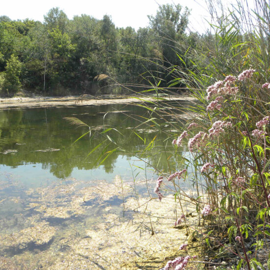 Donau-Oder-Kanal III