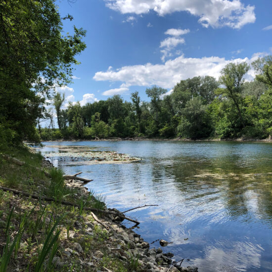 Revierbild: Donau-Oder-Kanal II