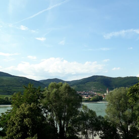 Revierbild: Donau Spitz-Dürnstein