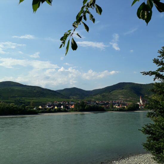 Revierbild: Donau Spitz-Dürnstein