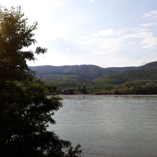 Revierbild: Donau Spitz-Dürnstein