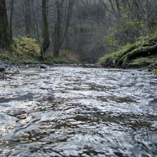 Revierbild: Wienfluss inkl. Mauerbach