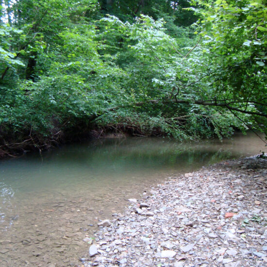 Revierbild: Wienfluss inkl. Mauerbach