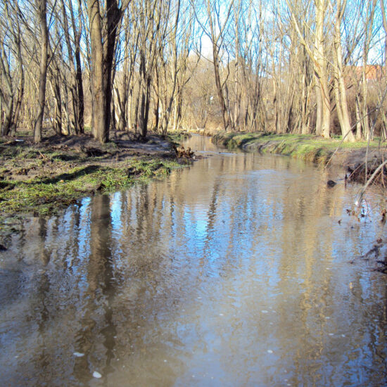 Revierbild: Wienfluss inkl. Mauerbach