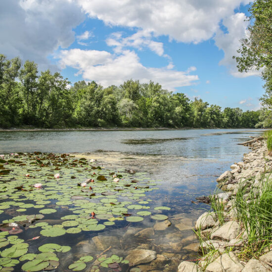 Revierbild: Donau-Oder-Kanal II