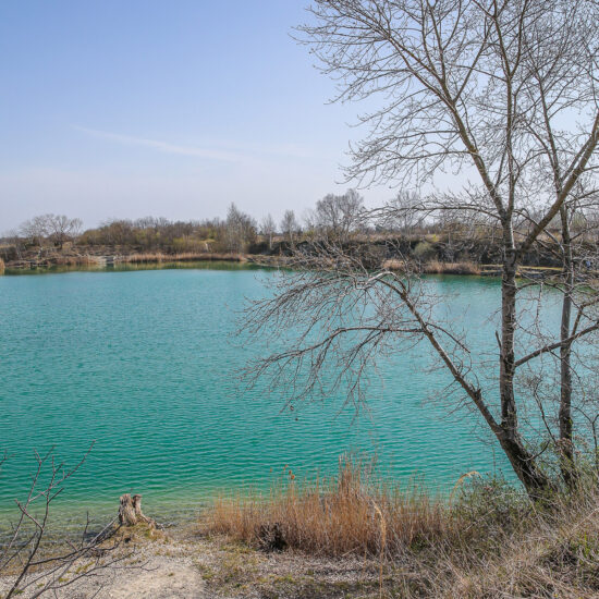 Revierbild: Teich Lobau-Aspern