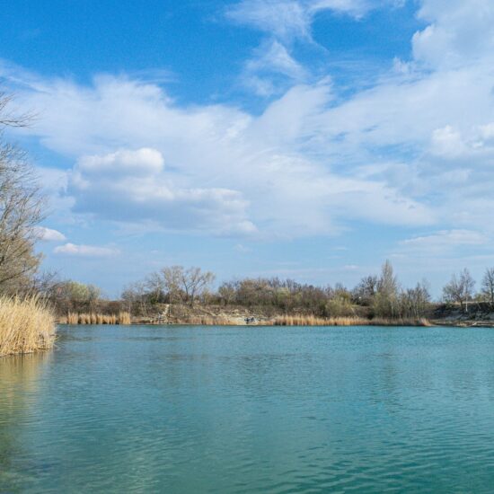 Revierbild: Teich Lobau-Aspern