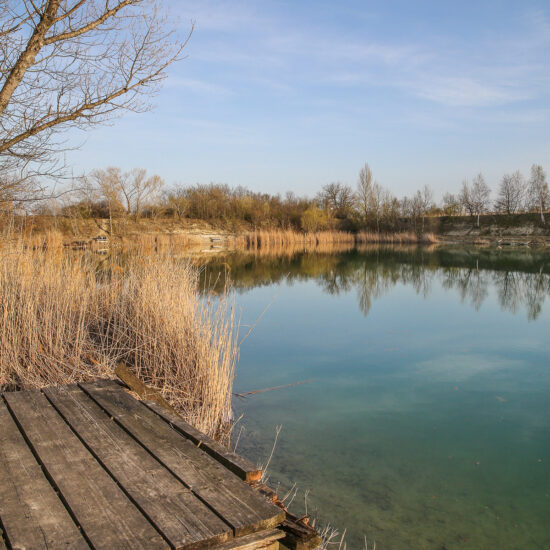 Revierbild: Teich Lobau-Aspern