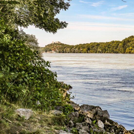 Revierbild: Donau Wolfsthal inkl. Fuchsengründl