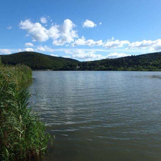 Revierbild: Wienerwaldsee