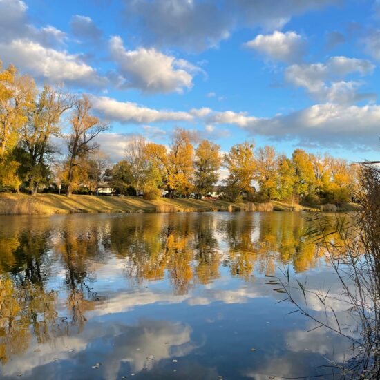 Mühlwasser Aspern