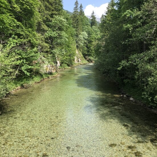 Revierbild: Mürz Scheiterboden