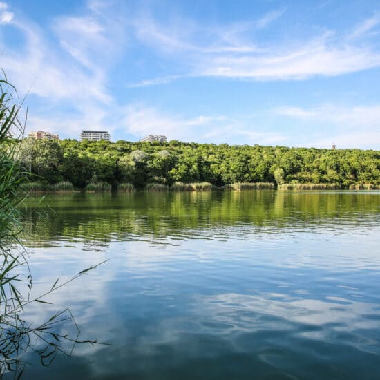 Revierbild: Wienerberger Teich