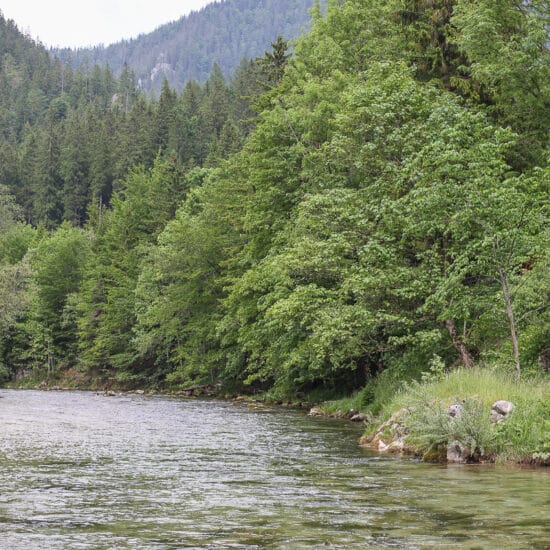 Revierbild: Mürz Scheiterboden