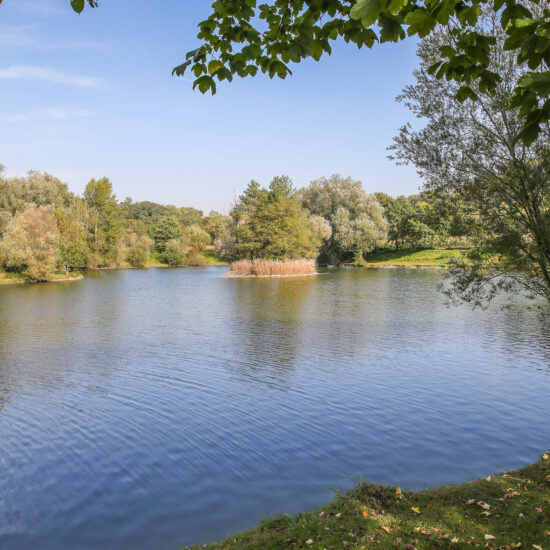 Revierbild: Breiteneicher Teich