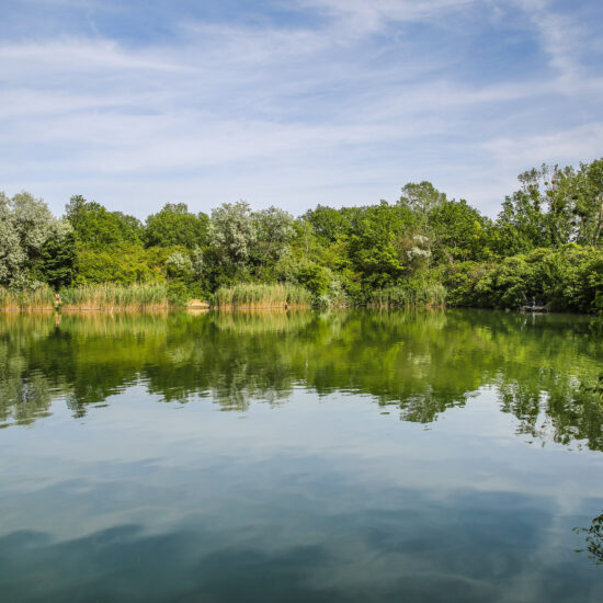 Revierbild: Wienerberger Teich