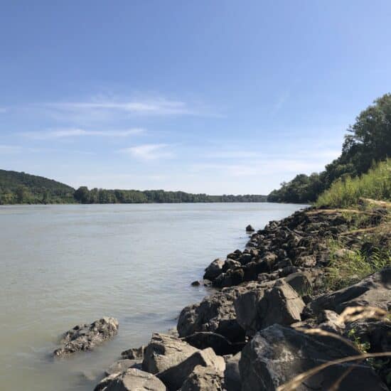 Revierbild: Donau Wolfsthal inkl. Fuchsengründl