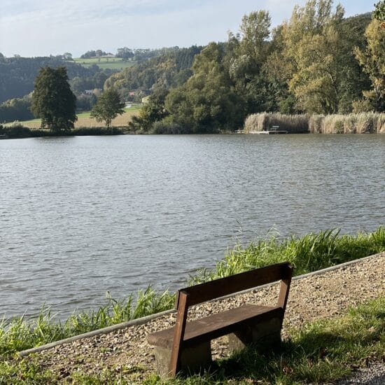 Revierbild: Fürholz-Teich