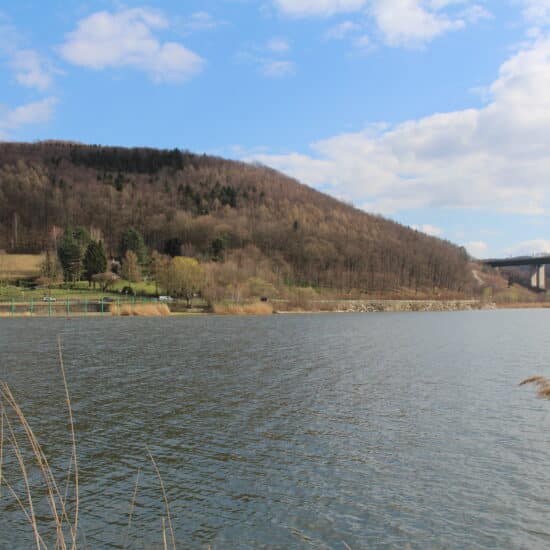 Revierbild: Wienerwaldsee