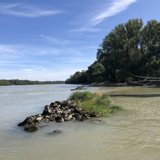 Revierbild: Donau Wolfsthal inkl. Fuchsengründl