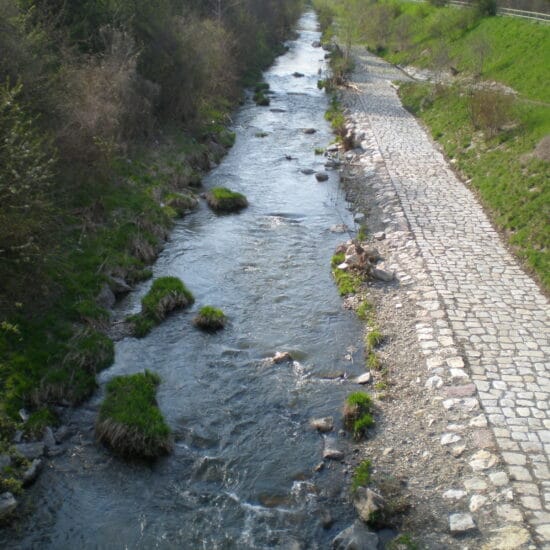 Revierbild: Wienfluss inkl. Mauerbach