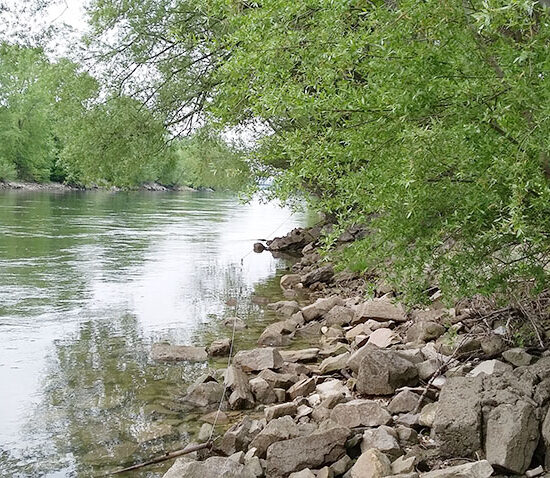 Revierbild: Freudenau, rechtes Ufer