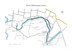 Revierplan: Mühlwasser Lobau