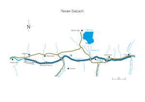 Revierplan: Salzach inkl. Seekanäle (Salmoniden)