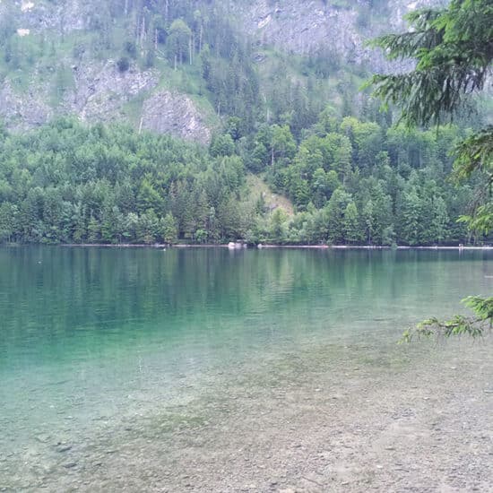 Revierbild: Vorderer Langbathsee